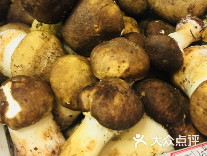 云南野生菌火锅图片 - 第3张