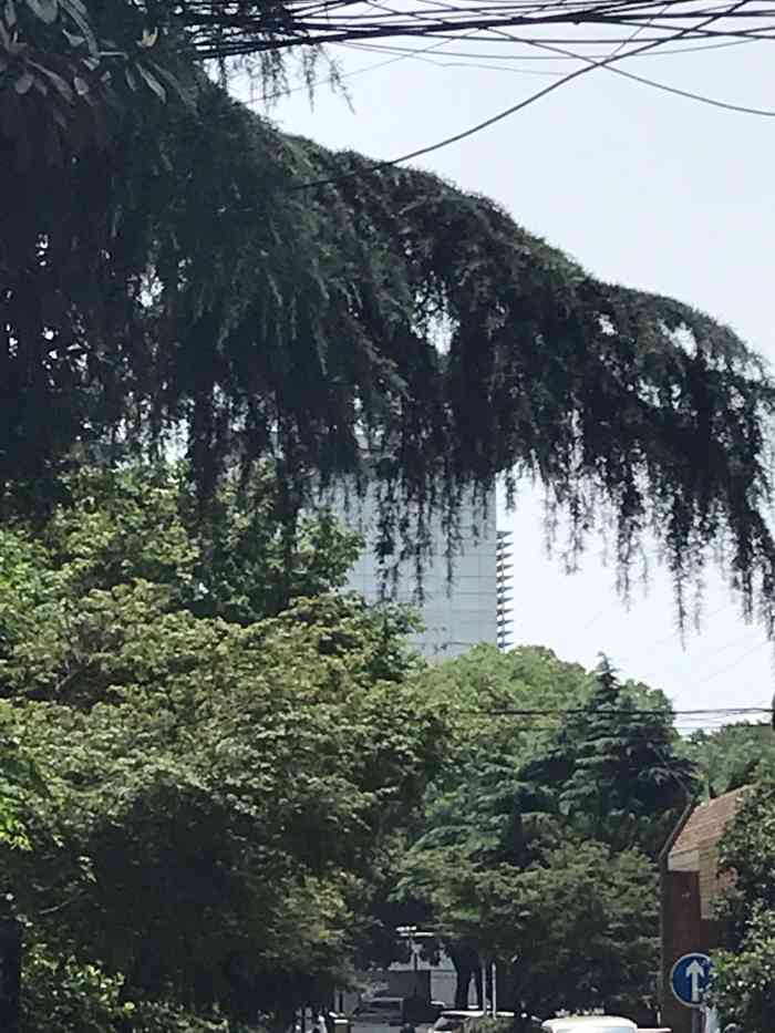 南京邮电大学(锁金村校区)