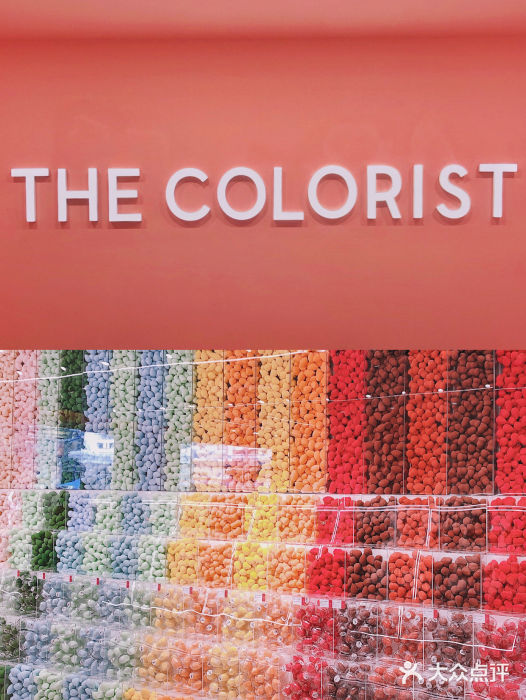 the colorist调色师(百信广场店)图片