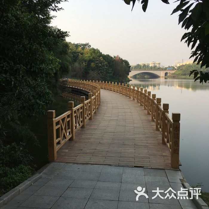 相思湖公园-图片-南宁周边游-大众点评网