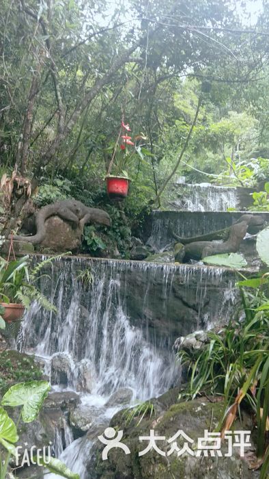 野山谷景区-图片-厦门周边游-大众点评网