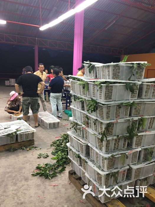 辉展进口水果批发(市场御贤果园店)-图片-上海购物