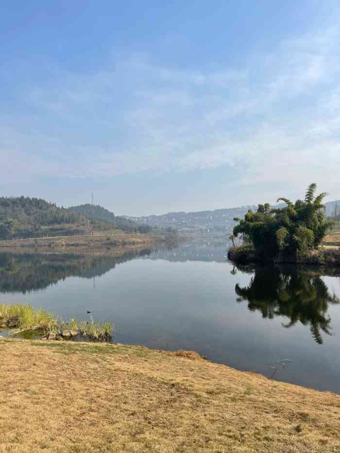 梨树坪湿地公园-"梨树坪估计算是达州市最大的湿地了