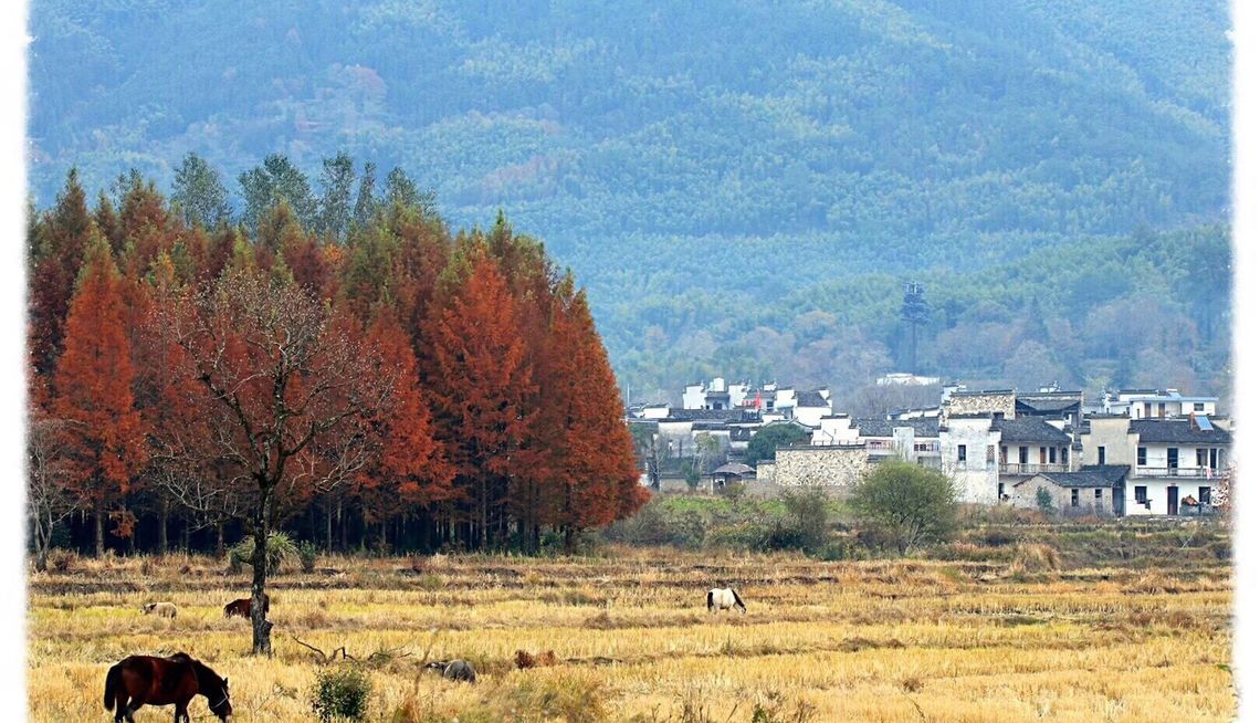 塔川景区