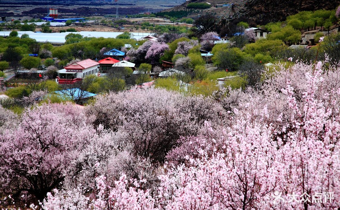 桃花沟风景区图片