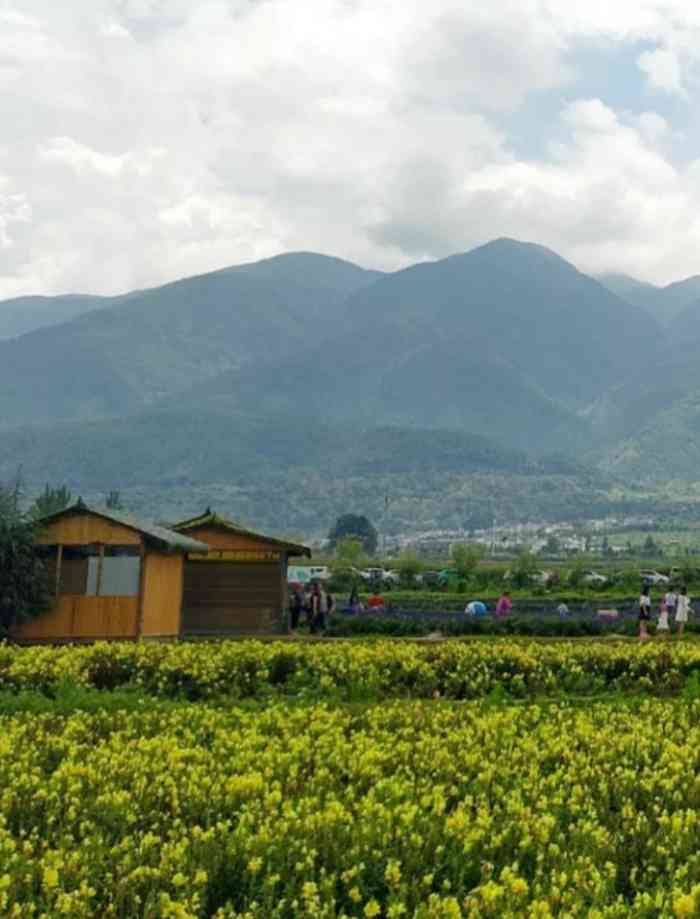 丽江花海-"丽江花海南溪村位于丽江市黄山镇境内文笔峰.