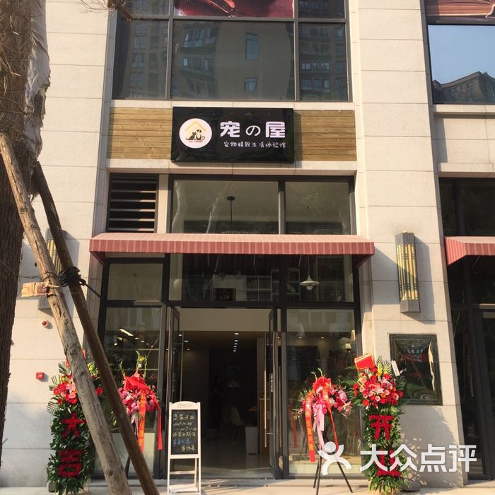 宠の屋精致生活体验馆一楼全景图片-北京宠物店-大众