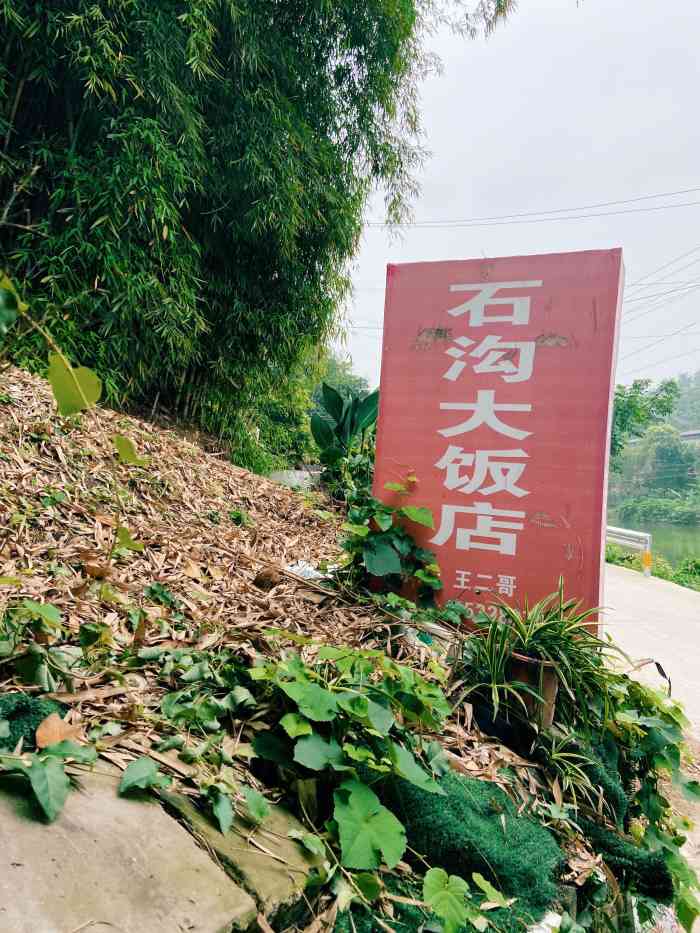 石沟大饭店-""苍蝇馆子"四个字已不足以表达我对自贡人.