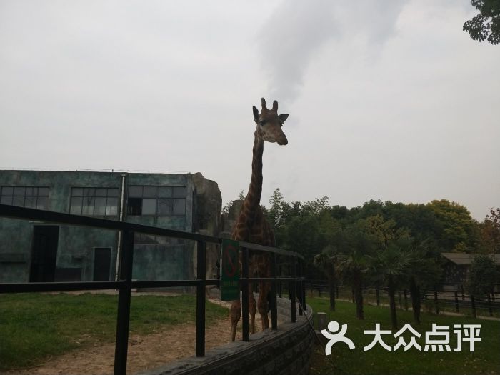 淮安动物园北门售票处图片 - 第4张