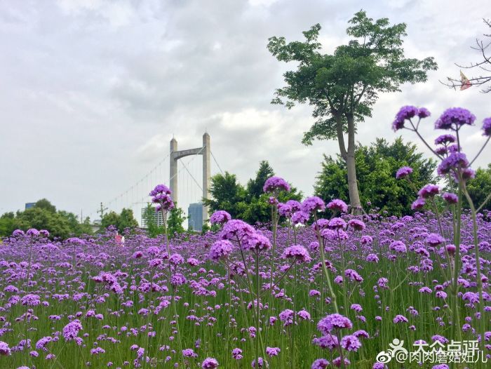 福州花海公园图片 - 第515张