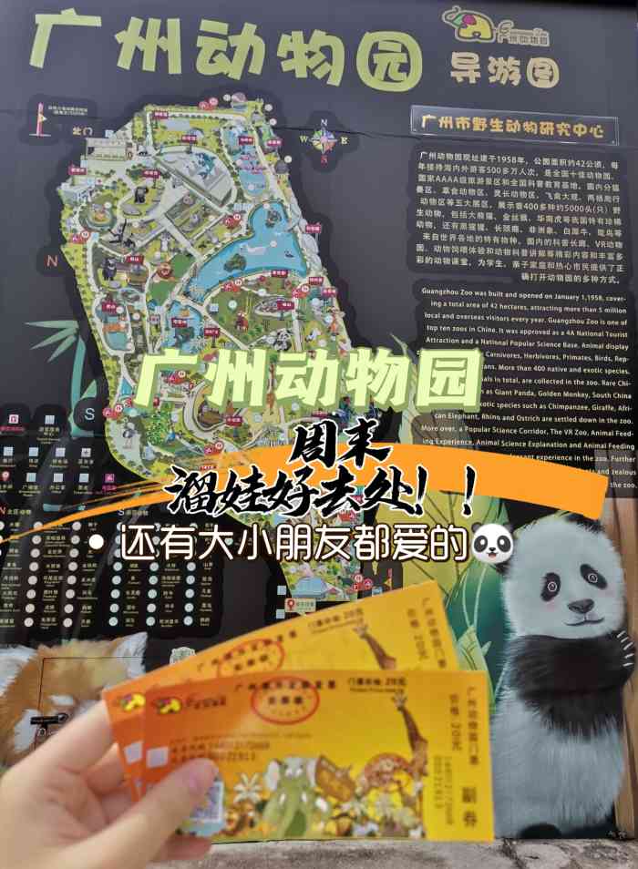 广州动物园-"动物园站一出站就是了 地铁站也很有特色,.
