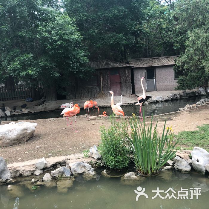 天津动物园