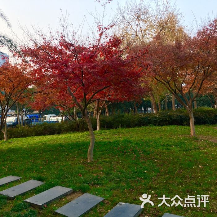 桐泾公园