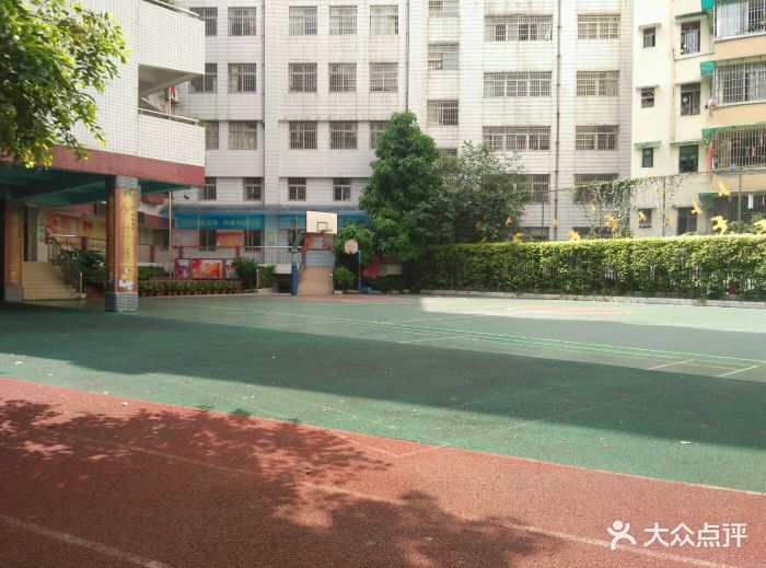 执信南路小学图片