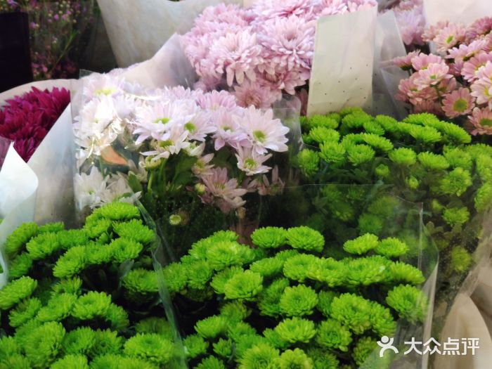 岔街1号花卉市场-图片-昆明购物-大众点评网