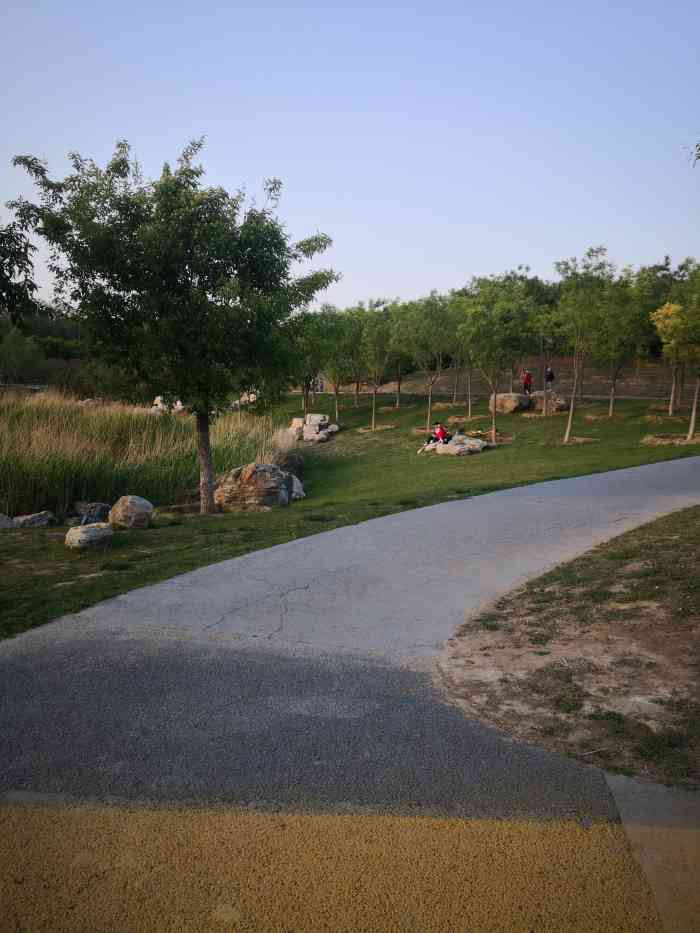 马家湾湿地公园-"开车很方便,如果不是周末的话停车也