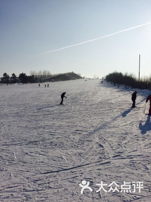 名都滑雪场-图片-哈尔滨景点