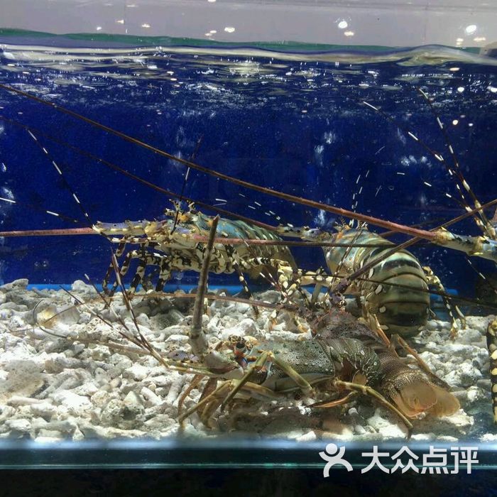 海中鲜广场图片-北京海鲜-大众点评网