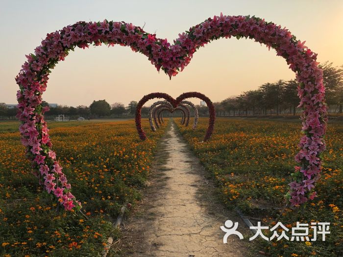 梦里水乡百花园图片 - 第4张