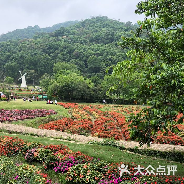 广州二龙山花园