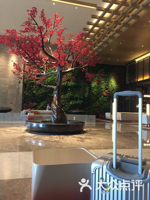 容辰华邑酒店-图片-张家口酒店-大众点评网