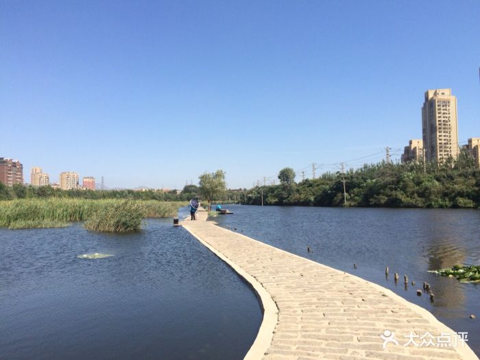 前关湿地公园