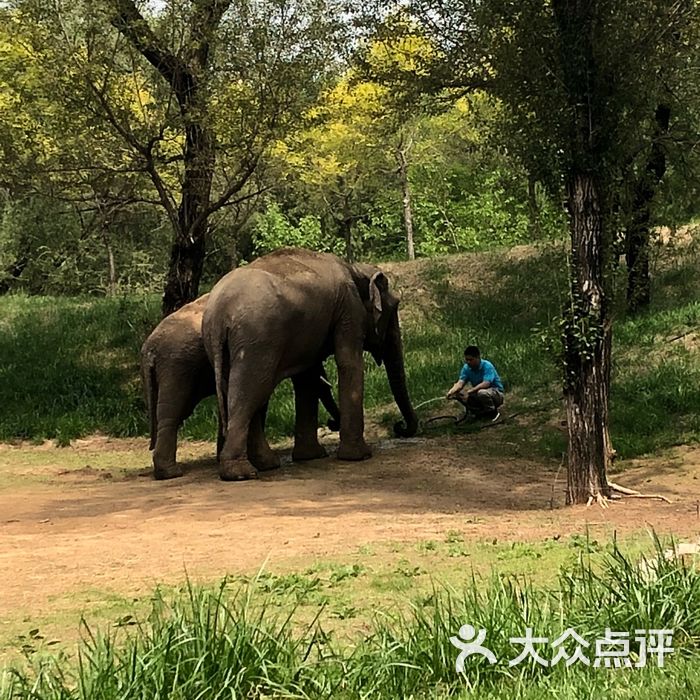 北京野生动物园