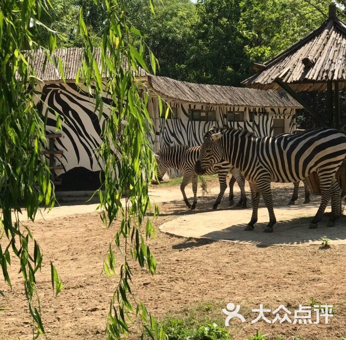 郑州动物园图片 - 第4张