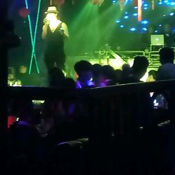 成都水母酒吧人均消费_水母卡通图片(3)
