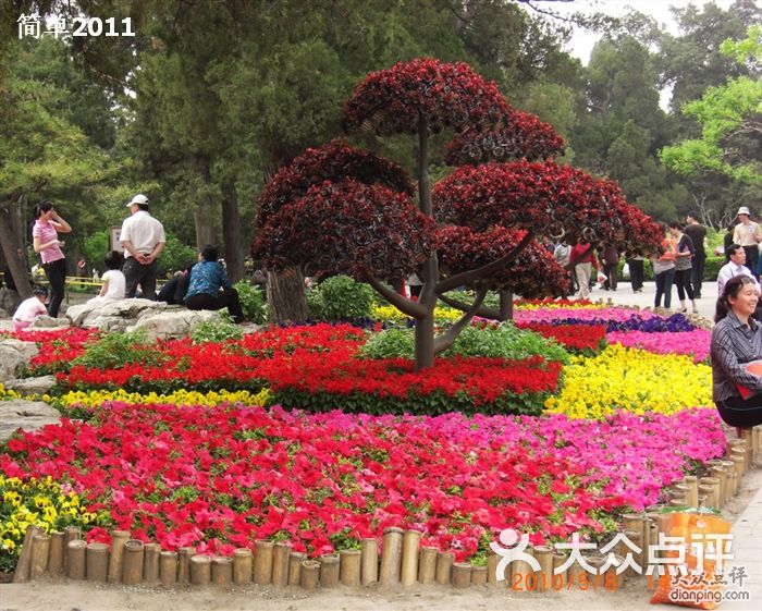 北京大观园"十一"晚上的天安门广场花坛图片-北京公园-大众点评网