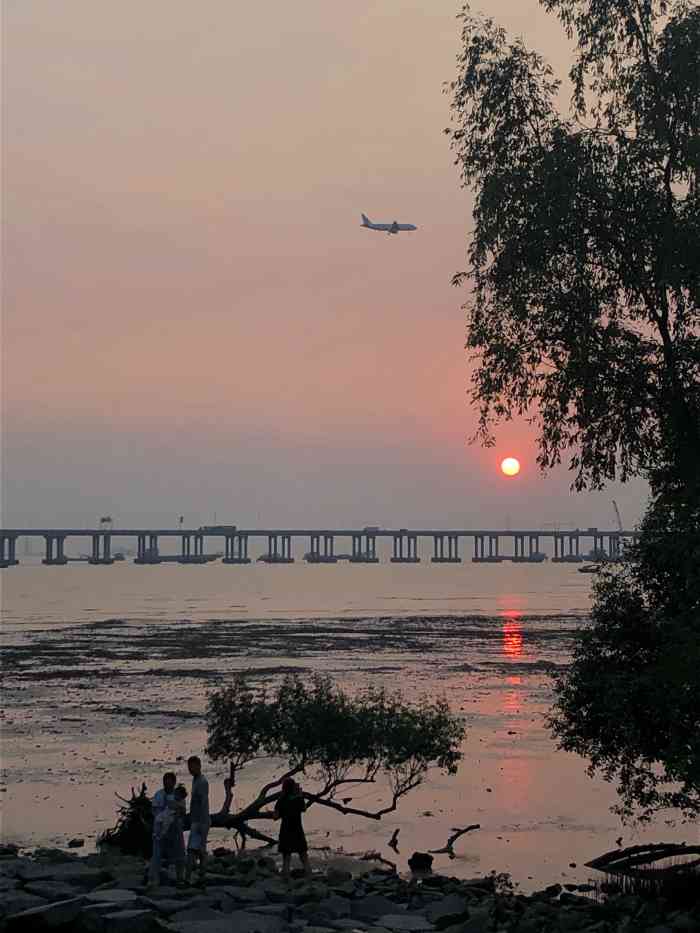 宝安西湾红树林湿地公园