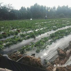 【御龙马农庄】电话,地址,价格,营业时间(图) - 