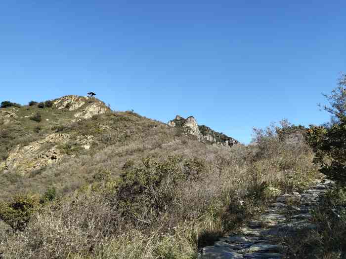 猫耳山-"猫耳山……海拔1307米,是大房山的主峰."