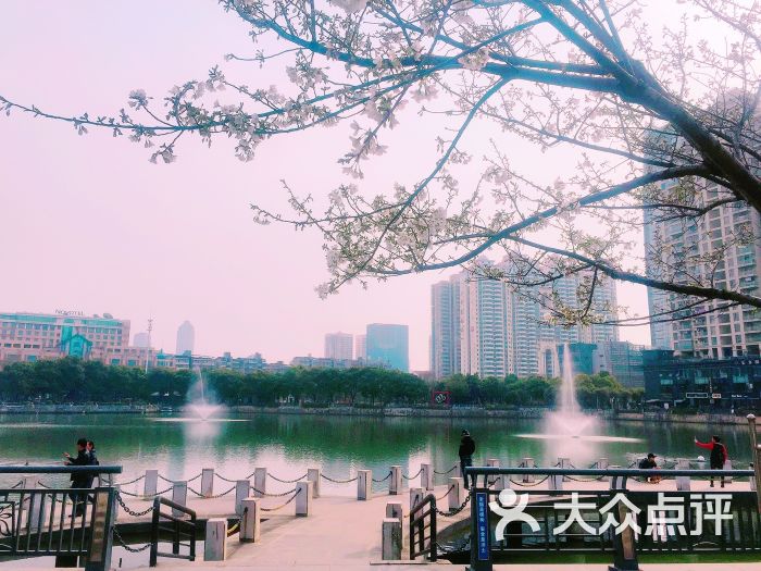 西北湖绿化广场-图片-武汉周边游-大众点评网