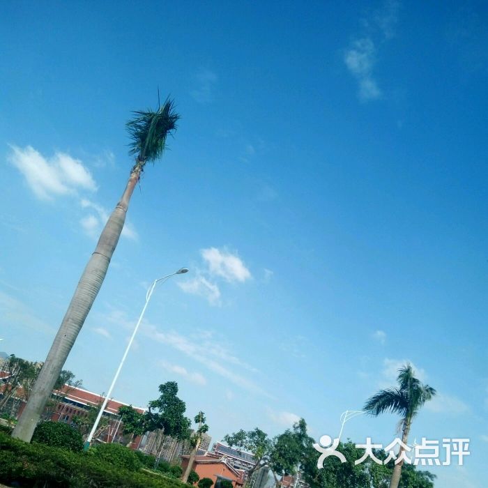 厦门医学院的点评