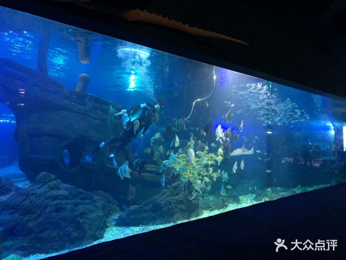 江和美海洋公园图片