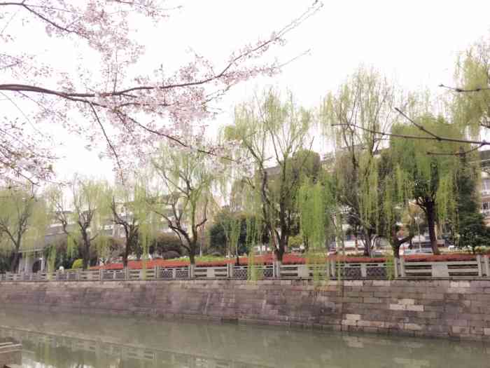 霞湾公园-"杭州的美,不止在西湖,湘湖,钱塘江等,更.