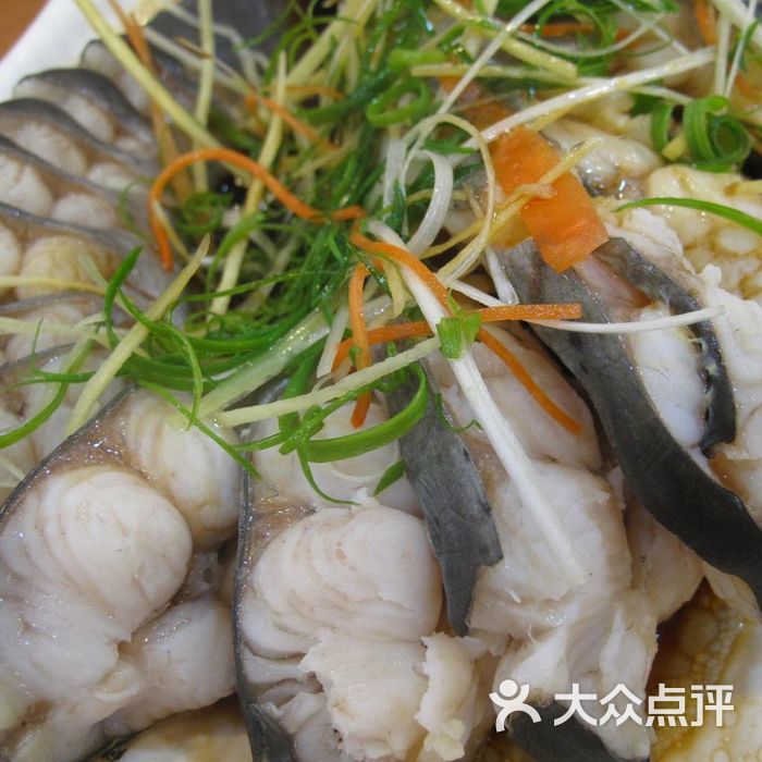 剑骨鱼 