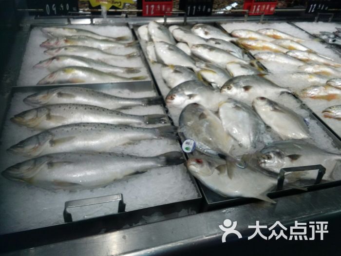蓬莱市家家悦超市(宝龙店)各种鱼图片 第24张