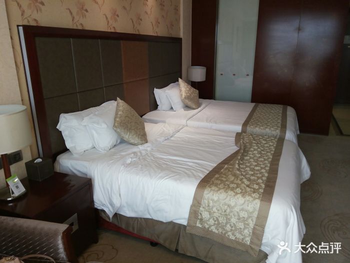 丰顺宝丰温泉酒店图片 - 第9张