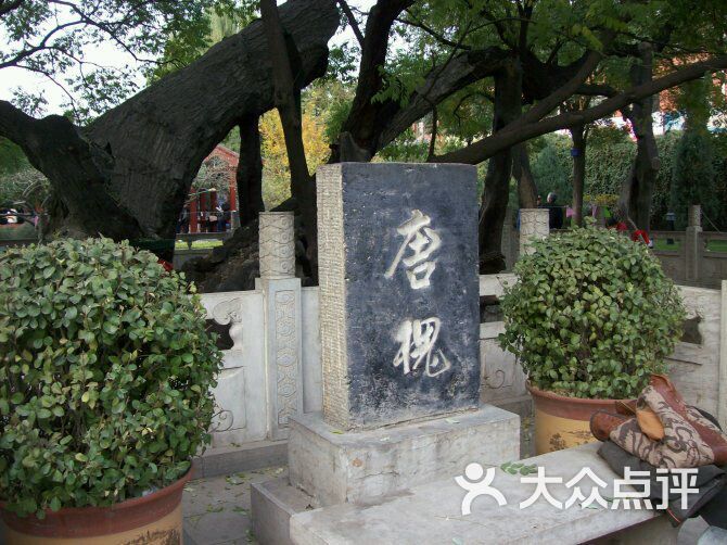 唐槐公园-图片-太原景点-大众点评网