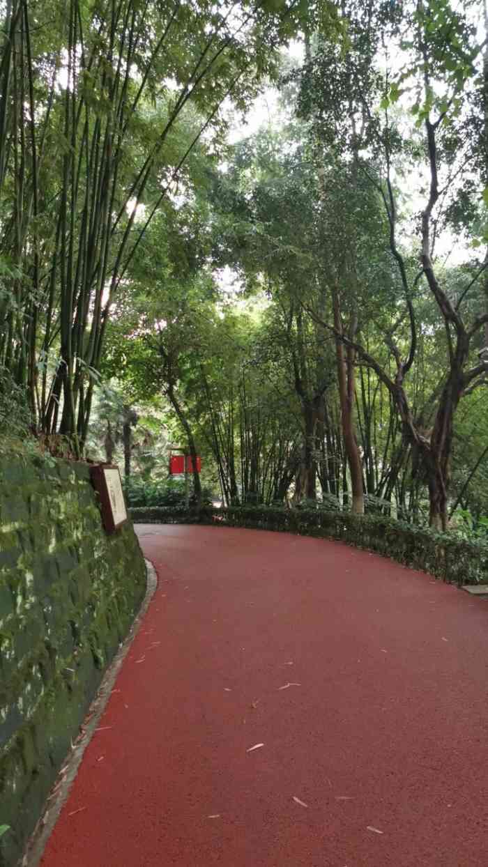 雨台山公园-"外地朋友来我大重庆旅游,如果想逛逛小众公.
