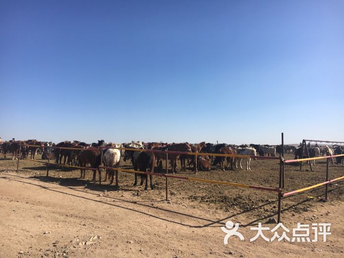 达尔罕茂明安联合旗私人空放 大众点评