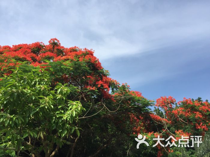 东江公园-图片-惠州周边游-大众点评网