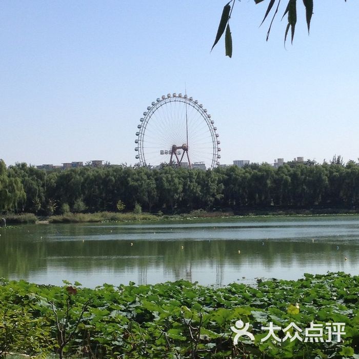 龙潭西湖公园远处的北京游乐园图片-北京公园-大众点评网