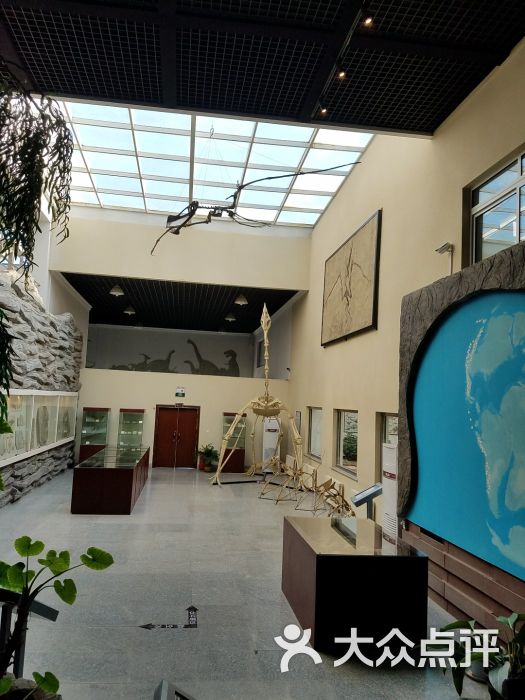 中德古生物博物馆-景点图片-义县周边游-大众点评网
