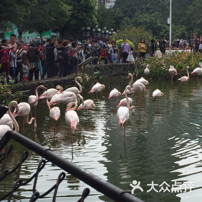 广州动物园