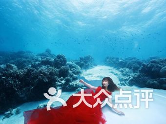 长阳婚纱_婚纱图片唯美(3)