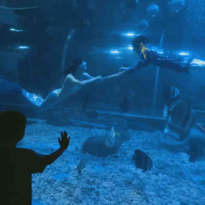 海之语海洋世界-"海之语海洋世界位于海口市观澜湖内