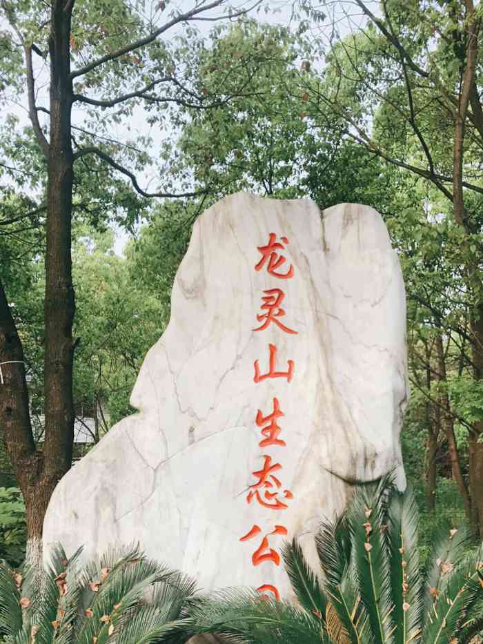 龙灵山生态公园-"武汉旅行～武汉周末游玩好去处～ 和